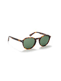 Óculos de Sol One Active Castanho Green