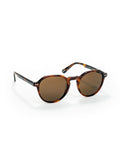 Óculos de Sol One Active Castanho