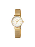 Montre ONE Daily Round Gold